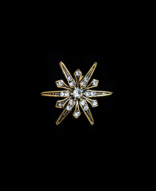 Star Pin Lapel - Gold/Black